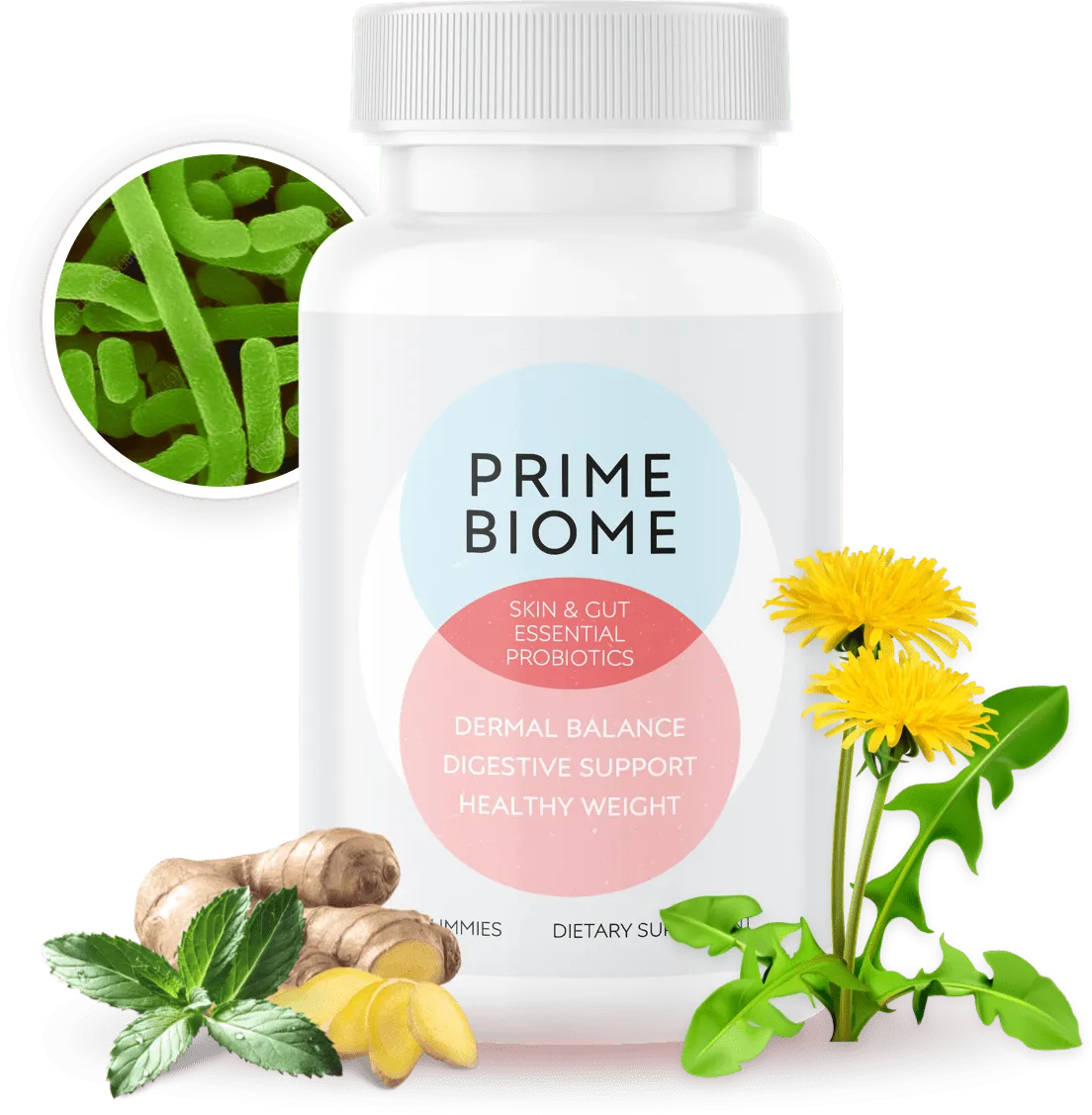 PrimeBiome main image